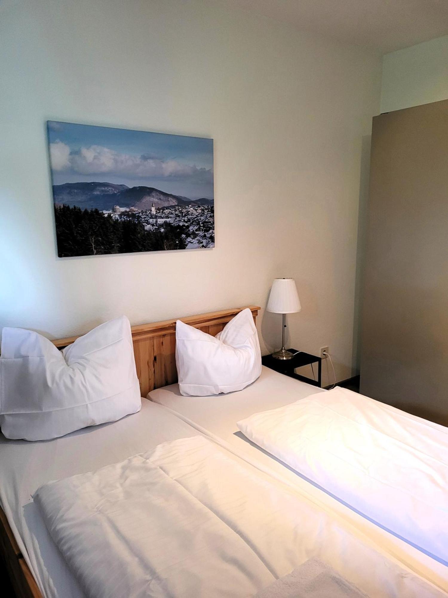 Winterberg Appartement 21097 מראה חיצוני תמונה
